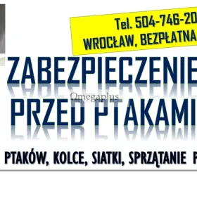 Odstraszanie gołębi, Wrocław, tel. 504-746-203. Płoszenie ptaków, cena  Odstraszanie ptaków i zabezpieczenie budynku przed gołębiami