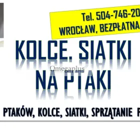 Odstraszanie gołębi, Wrocław, tel. 504-746-203. Płoszenie ptaków, cena  Odstraszanie ptaków i zabezpieczenie budynku przed gołębiami