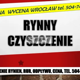 Czyszczenie rynien, cennik, tel. 504-746-203, Wrocław, udrażnianie rynny, usługi